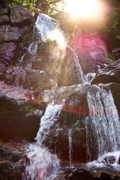 Die Risslochfaelle nahe dem Bodenmaiser Hof sind die groeßten Wasserfaelle im Bayerischen Wald und ueben eine besondere Faszination aus