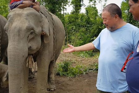 Der Kuenstler zeigt sich beunruhigt ueber die Zukunft der Tiere. Ai Weiwei und Dr. Amir Khalil von VIER PFOTEN mit Elefanten