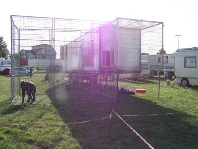 Der Schimpanse Robby lebt im Zirkus in einem tristen Außengehege, das muss ein Ende haben. Auch Tiere haben eine Würde