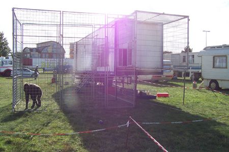 Der Schimpanse Robby lebt im Zirkus in einem tristen Außengehege, das muss ein Ende haben. Auch Tiere haben eine Würde
