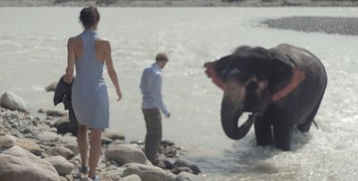 Film Fraeulein Else Elefant in Fluss
