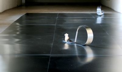 ausstellung  in Magdeburg: Koji Kamoji - durch den Garten – along garden path - scizka ogrodu bis zum 23.6.2013 im Kunstmuseum Magdeburg