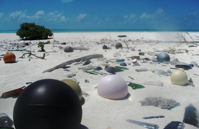 Ausstellung in Hamburg: Endstation Meer? - Das Plastikmüll-Projekt vom 18. Dezember 2012 bis 31. März 2013