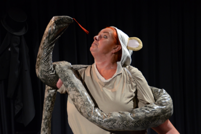 theater rostock grueffelo theater rostock grueffelo
