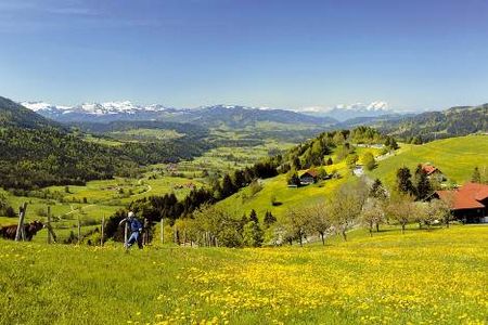 Die Idylle des Allgaeus als Schauplatz moerderischer Kluftinger-Faelle entdecken Urlauber ausgehend vom Fuenf-Sterne-Hotel Allgauu Sonne in Oberstaufen
