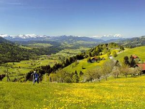 Die Idylle des Allgaeus als Schauplatz moerderischer Kluftinger-Faelle entdecken Urlauber ausgehend vom Fuenf-Sterne-Hotel Allgauu Sonne in Oberstaufen Die Idylle des Allgaeus als Schauplatz moerderischer Kluftinger-Faelle entdecken Urlauber ausgehend vom Fuenf-Sterne-Hotel Allgauu Sonne in Oberstaufen