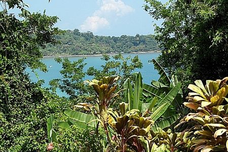 Reisen Costa Rica Regenwald Ozean