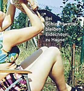 Bei Schlechtwetter bleiben Eidechsen zu Hause