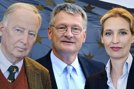 Prof. Dr. Joerg Meuthen, Dr. Alice Weidel und Dr. Alexander Gauland gehoeren nicht zu der buergerlichen demokratischen Mitte
