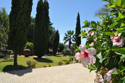 Reisen Quinta das Barrada Garten Reisen Quinta das Barrada Garten