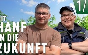 Die Fasern der Hanfpflanze werden schon seit Jahrtausenden von Menschen genutzt Die Fasern der Hanfpflanze werden schon seit Jahrtausenden von Menschen genutzt