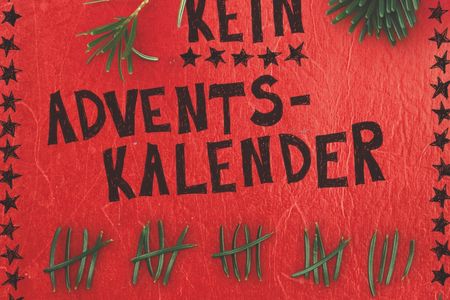 Nikki Busch empfiehlt in "Dies ist kein Adventskalender" 24 + 7 Ideen, wie man die Weihnachtszeit übersteht