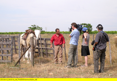 Die Cowboys der Camargue - Frankreichs wilder Süden
