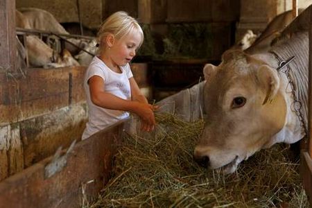 Kleine Helfer sind den Bauern auf den Suedtiroler Hoefen der Marke Roter Hahn im Stall stets willkommen