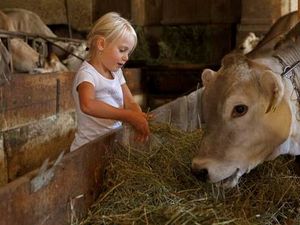 Kleine Helfer sind den Bauern auf den Suedtiroler Hoefen der Marke Roter Hahn im Stall stets willkommen Kleine Helfer sind den Bauern auf den Suedtiroler Hoefen der Marke Roter Hahn im Stall stets willkommen