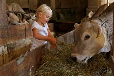 Kleine Helfer sind den Bauern auf den Suedtiroler Hoefen der Marke Roter Hahn im Stall stets willkommen