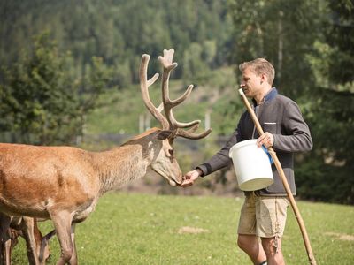 Forsthofgut Wildgehege