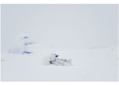 Florian Schulz: Naturfotografie