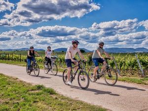 Genuss-Radtouren in der Südpfalz Genuss-Radtouren in der Südpfalz