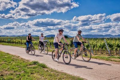 Genuss-Radtouren in der Südpfalz