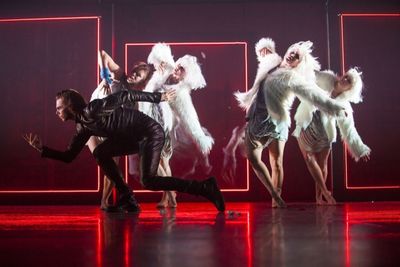 Swanlake Reloaded in Deutschland und Oesterreich Swanlake Reloaded in Deutschland und Oesterreich