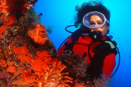 Auf der Kanareninsel Lanzarote gibt es ueber 100 Tauchreviere, die in Tiefen von bis zu 40 Meter fuehren
