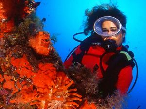 Auf der Kanareninsel Lanzarote gibt es ueber 100 Tauchreviere, die in Tiefen von bis zu 40 Meter fuehren