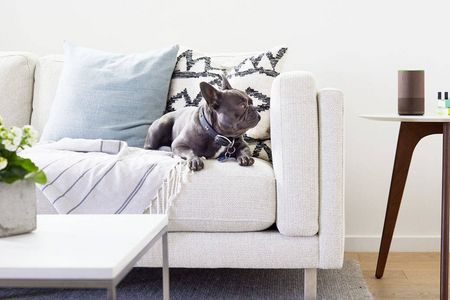 Daheim mit Amazon Echo. Darauf haben 80 Prozent noch keinen Bock