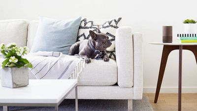 Daheim mit Amazon Echo. Darauf haben 80 Prozent noch keinen Bock