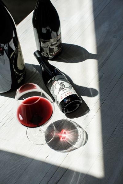 Essen und Trinken Wein von Gerhard Pittnauer