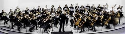 Heinrich-Heine-Symphoniker portraitiert von Alexander Vejnovic