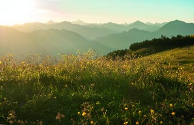 Klassik trifft Berg Festival in Oesterreich