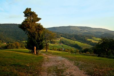 Die gesamte Deutschschweiz und das Bodenseegebiet Die gesamte Deutschschweiz und das Bodenseegebiet