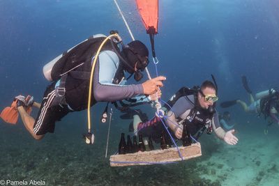 Amun Ini betreibt das erfolgreichste Korallenzuchtprogramm auf den Philippinen