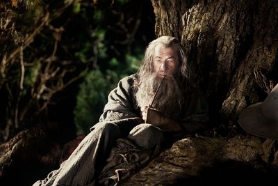 Gandalf der Graue Gandalf der Graue