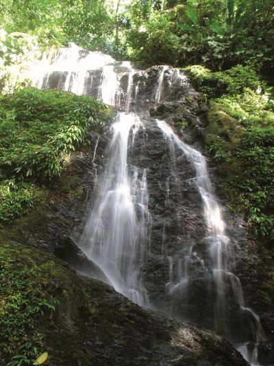 Reisen Suriname Urwald