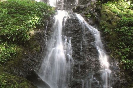 Reisen Suriname Urwald