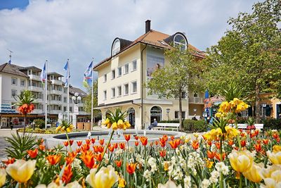 Reisen Tulpenfest Bad Woerishofen