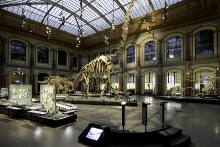 Sauriersaal im Museum für Naturkunde