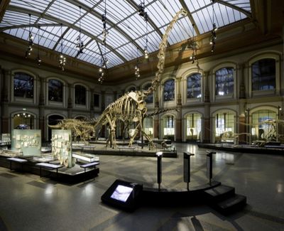 Sauriersaal im Museum für Naturkunde