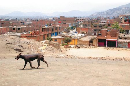 Ausstellung in Ulm: Franziska Agrawal: LIMA-A-MIL - Fotoserie über die Elendsviertel der peruanischen Hauptstadt Lima bis zum 10.02.2013