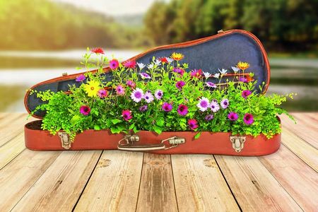 MDR Musiksommer - klassische Sommerabende in Mitteldeutschland