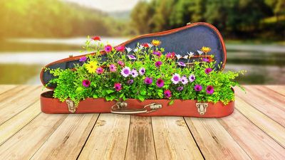 MDR Musiksommer - klassische Sommerabende in Mitteldeutschland