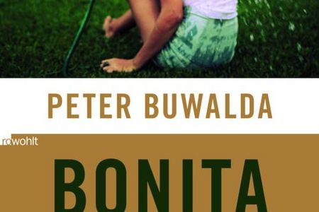 In Peter Buwaldas Debütroman "Bonita Avenue" wird eine Patchwork-Familie von der Realität eingeholt