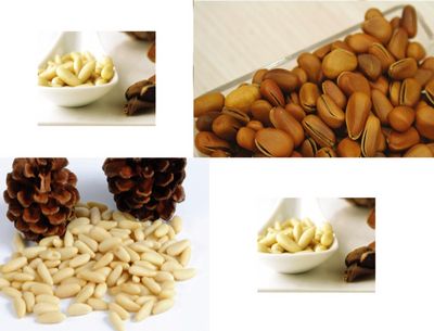 Zhenlong Foods