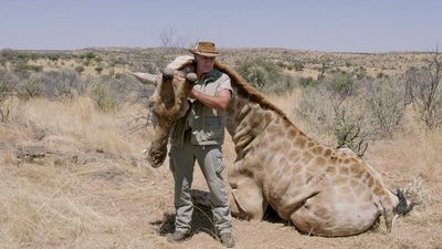 Ein Drecksack mit einer getöteten Giraffe