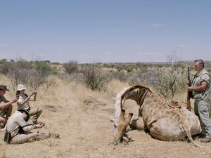 Sie erlegen Zebras und Giraffen um anschließend für ein Foto mit dem toten Wesen zu posieren