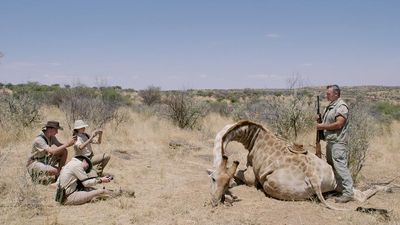 Sie erlegen Zebras und Giraffen um anschließend für ein Foto mit dem toten Wesen zu posieren