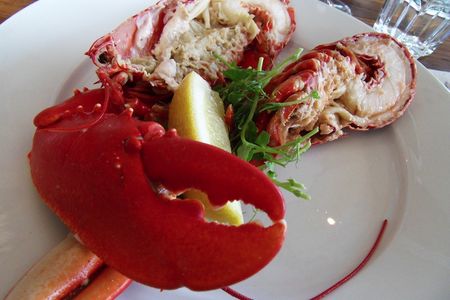 Lobsterlunch