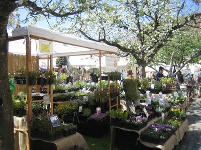 Reisen Muenchen blueht Gartenmesse Reisen Muenchen blueht Gartenmesse